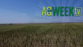 AgweekTV Full Episode 081024 S10E32 [upl. by Rothschild]