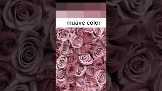 Rare dress color for every skin tone✨🔥 fashion dress outfit colors glamour fyp [upl. by Baumann]