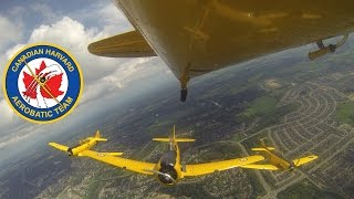 Canadian Harvard Aerobatic Team Highlights [upl. by Churchill922]