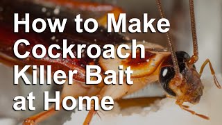 Homemade Cockroach Killer Bait [upl. by Siloum]