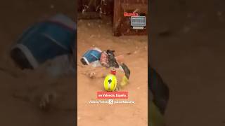 El rescate de una mujer y sus mascotas que sufrieron las inundaciones de la DANA en Valencia [upl. by Anol890]