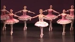 Reiko Yamamoto Ballet Ballet Concert2009 山本禮子バレエ paquita [upl. by Elyssa]