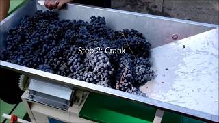 Using a Grape Crusher Destemmer [upl. by Normalie]