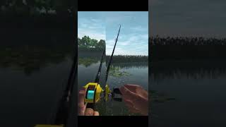 Fishing Planet Everglades Unique Large Mouth  Smelly Hobo fish fishing gaming fyp [upl. by Drofniw]