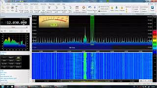 Radio Delta NL auf Kurzwelle AM 12030 khz ► SDR console SDRPlay 📻 RSPdx SDRangel 🌞 Langdrahtantenne [upl. by Dlopoel]