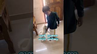 ഞങ്ങളുടെ ഓണം അങ്ങനെ തുടങ്ങി  Onam 2024  onam2024 onam puppy dog vlog puppy shorts viral [upl. by Anehsuc256]