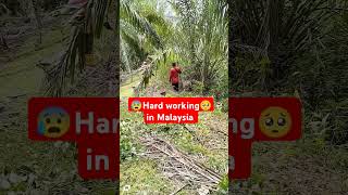 The Most Inspiring Hard Work Stories in Malaysia [upl. by Wiatt]