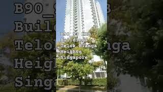 HDB Building B9093 [upl. by Blader]