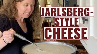 JarlsbergStyle Cheese  How To Make [upl. by Fesuy779]