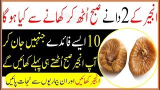 Anjeer Ke Fayde For 2 Figs Benefits  Health Tips In Urdu [upl. by Landrum]