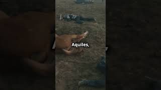 🛡️ Héctor vs Aquiles El Duelo que Marcó la Ilíada 🏰 culture shortsviral shorts history [upl. by Eirojam]