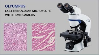 CX23 ll Trinocular Microscope ll Olyumpus ll HDMI Camera ll Full explain ll Medlab Solutions ll 2024 [upl. by Khoury]