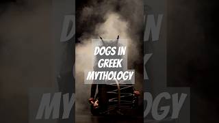 Dogs Place in GrecoRoman Mythology dog doglover [upl. by Ykcin]