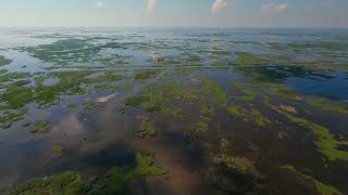 Coastlines Affected by Hurricanes  Why Louisiana Aint MississippiOr Anyplace Else  Classroom [upl. by Bone558]