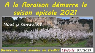 A la floraison démarrage de la saison Apicole [upl. by Collette]