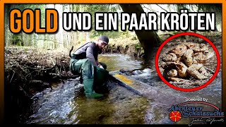 🔶 Gold und ein paar Kröten 🔶 Goldwaschen Goldsuche in Deutschland Gold prospecting [upl. by Sheridan]