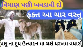 ગાયભેસ ના દૂધ મા થશે ધરખમ વધારો ફક્ત આટલુ કરો  how to Increase milk production cow buffalomilk [upl. by Cicily601]