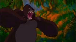 Kerchak Roaring 🦍 [upl. by Loria184]