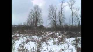 Coyote Hunting With The Dogs 2 Feet Up Hunting LLC [upl. by Enahpets]