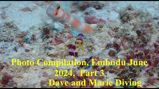 Photo Compilation Part 3 from Embudu Village Maldives June 2024 [upl. by Waddle62]