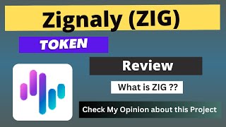 What is Zignaly ZIG Coin  Review About ZIG Token [upl. by Ahsian852]