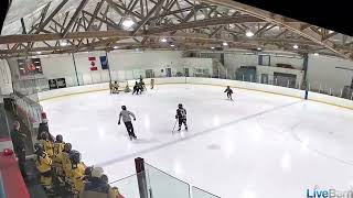 Kellar  Hockey Diary  Crash The Net [upl. by Gregson717]