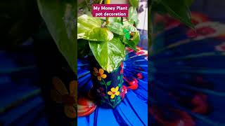 Money plant pot decoration🎀💚 shortsvideo moneyplant viewsviralvideosubscribersgrow [upl. by Cumings]