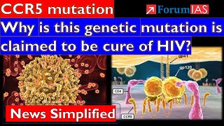 CCR5 mutation Why is this genetic mutation is claimed to cure of HIV Forum IAS  News Simplified [upl. by Alleciram309]