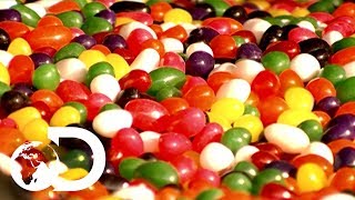 Jelly Beans  How Its Made [upl. by Daisie]