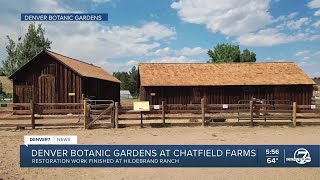 Restoration work at Denver Botanic Gardens at Chatfield Farms [upl. by Hamimej]