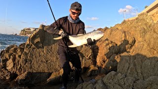 SOLO rockfishing amazing Pacific crevalle jack action [upl. by Felike]