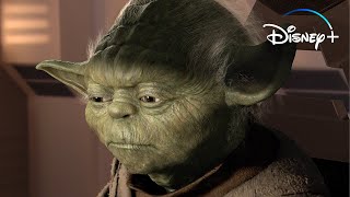 Yoda Tells It Like It Is  Disney [upl. by Einnok]