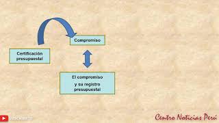 Proceso de Ejecución Presupuestaria [upl. by Aicemak]