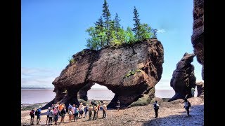 Hopewell Rocks [upl. by Lucky]