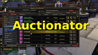 Richtig kaufen und verkaufen mit Auctionator  Gold farmen in WoW [upl. by Hayarahs]