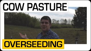 Cow Pasture Seeding with GroundWork Pasture Overseeder Mix [upl. by Eileek284]