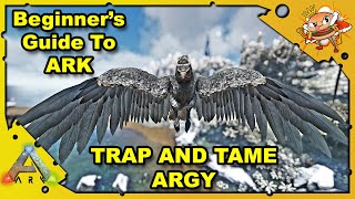 How to Get Started in ARK  A Beginners Guide  How To Tame An Argy  Ark Survival Evolved S4E13 [upl. by Alejoa282]