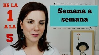 PRIMEROS SINTOMAS de EMBARAZO  PRIMER MES  SEMANAS 15 [upl. by Enelegna]