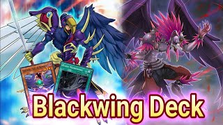 Blackwing Deck Otk duel links [upl. by Nehgam]