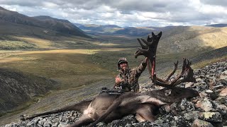 Alaska Caribou bowhunt 2 bulls down [upl. by Jodi]