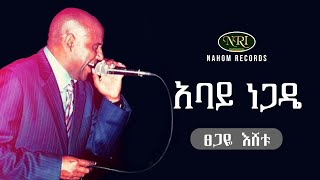 Tsegaye Eshetu  Abay Negade  ፀጋዬ እሸቱ  አባይ ነጋዴ  Ethiopian Music [upl. by Ozne444]