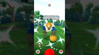 Getting Lucky With New✨shiny Passimian in pokemon go pokemon shiny soparstart shorts [upl. by Weigle923]