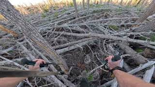 Lincoln logs a lot of downed trees 4K [upl. by Kaye817]