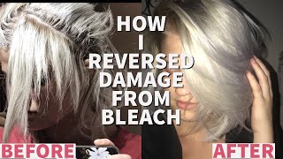 HOW TO GROW OUT BREAKAGE FROM BLEACH  HAIR ROUTINE FOR BLONDES [upl. by Notnert]