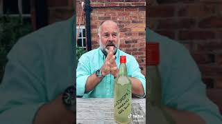 Homemade Limoncello Taste Test [upl. by Mayes]