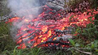 Pahoa Lava Flow [upl. by Crofton245]