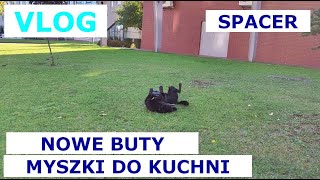 VLOGOWO Teraz w mojej kuchni mam kota i myszki nowe buty [upl. by Straub]