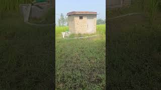 Dhan ka khet song live hindisong farming [upl. by Landes]