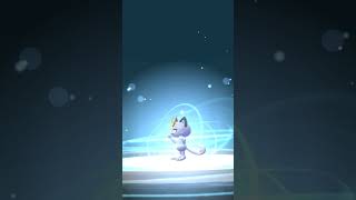 Evolving Meowth in Pokémon Go [upl. by Dedra516]