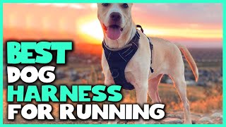 Best Dog Harness for Running in 2023  Top 5 Review  Large Medium amp Small Dogs Harness [upl. by Fokos]